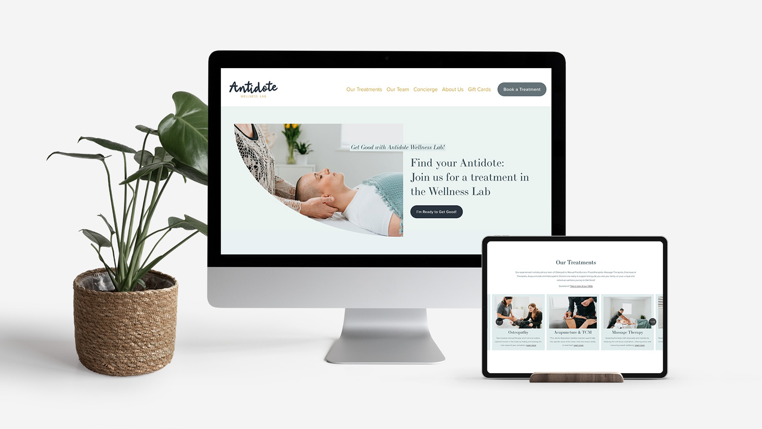 Wellness Clinic Website Design: Antidote Wellness Lab